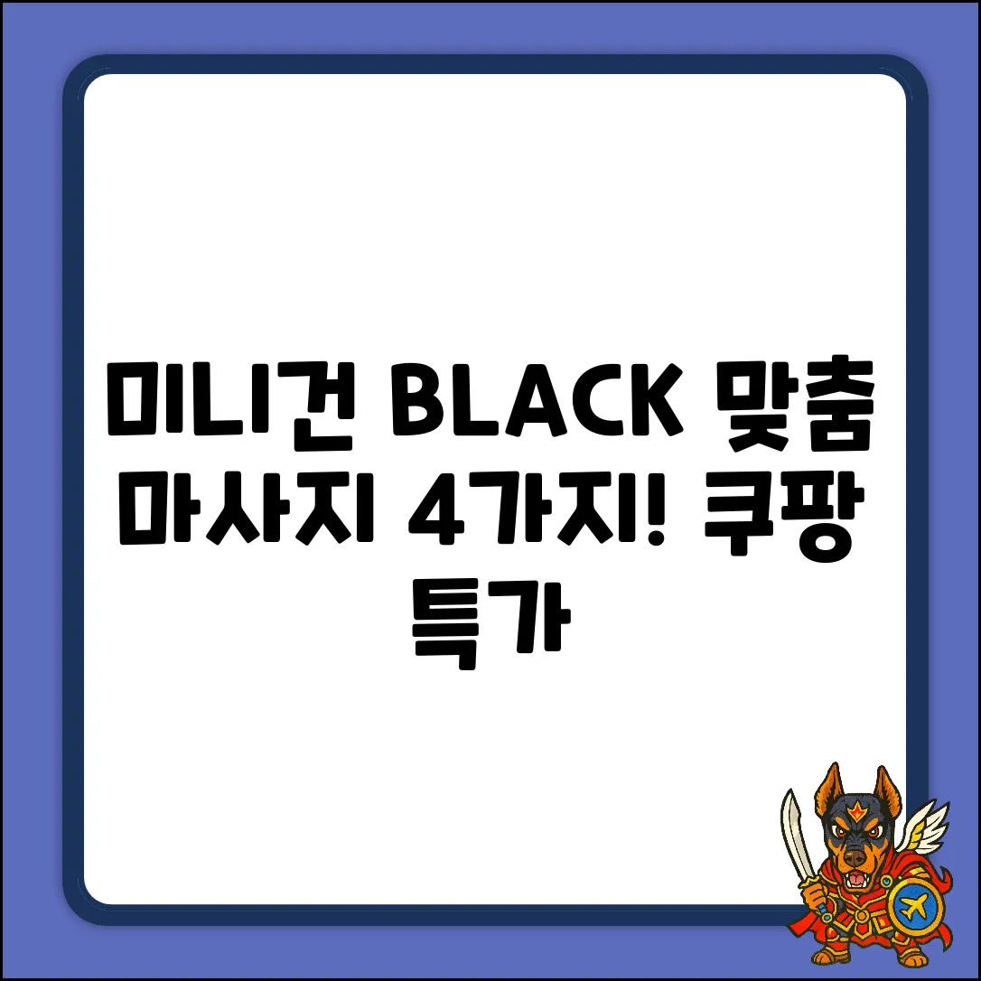 HanilMedical 미니건 BLACK: 4가지 맞춤 마사지