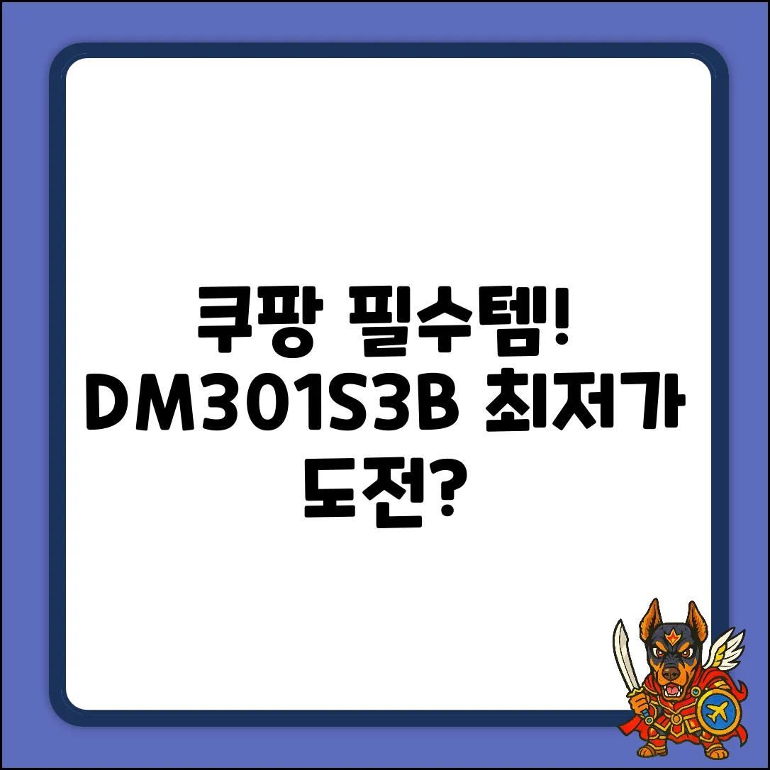dm301s3b, 최적의 선택일까요?