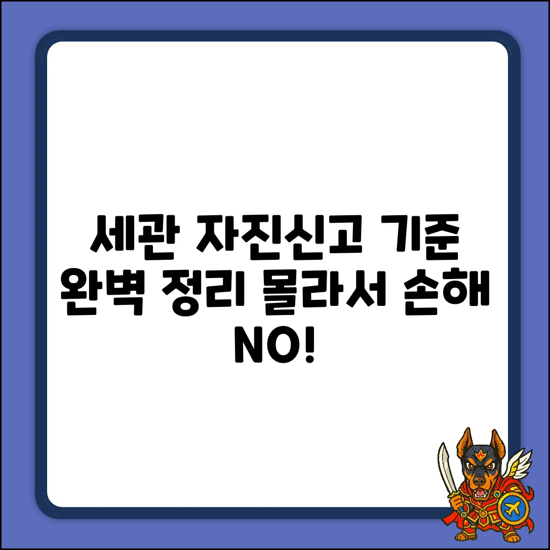 세관 자진신고 기준 완벽 가이드