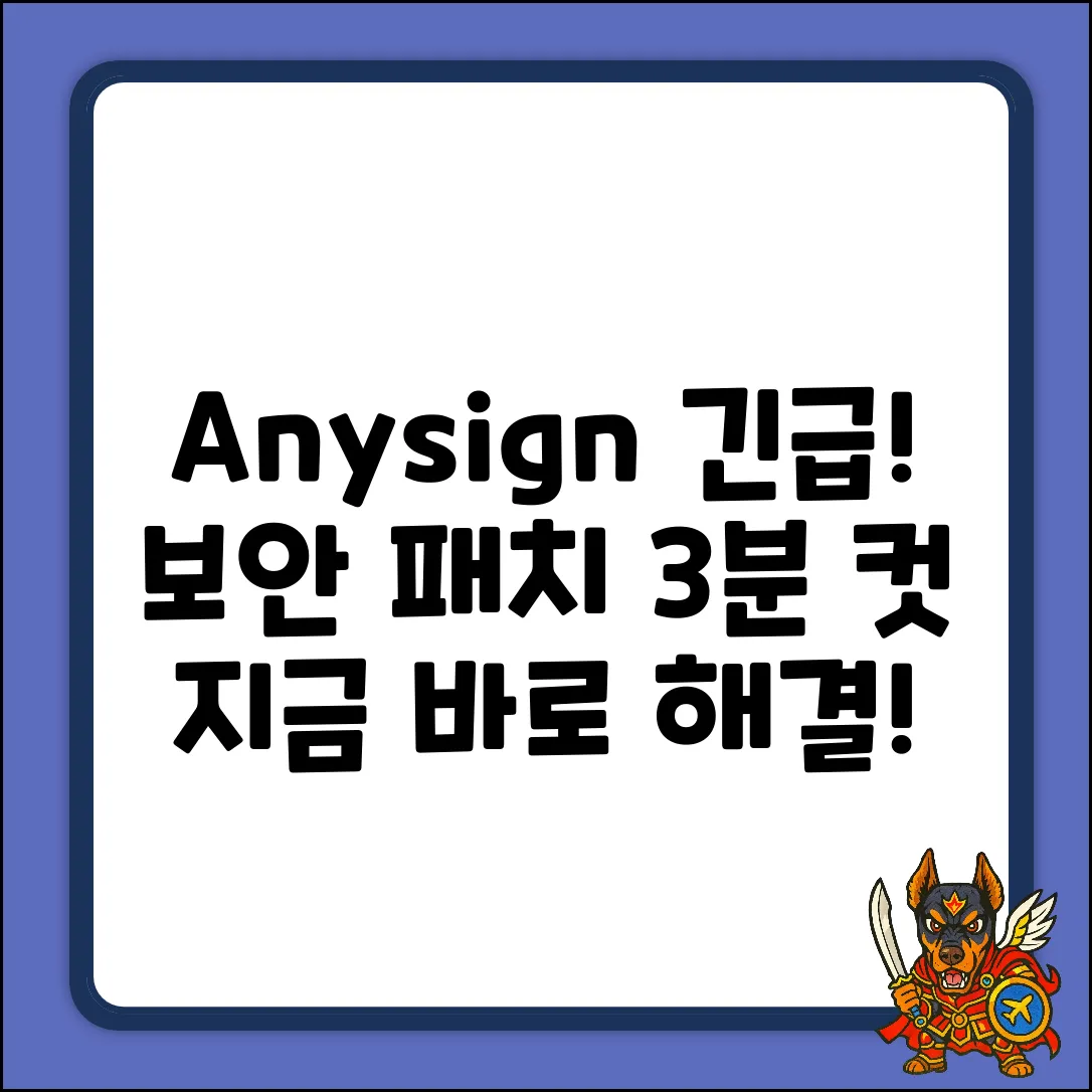 Anysign4PC 긴급! 보안 패치 3분 해결