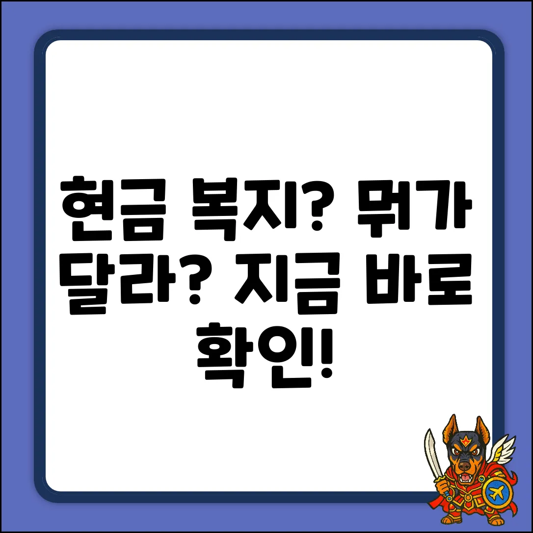 현금으로 받는 사회복지, 무엇?
