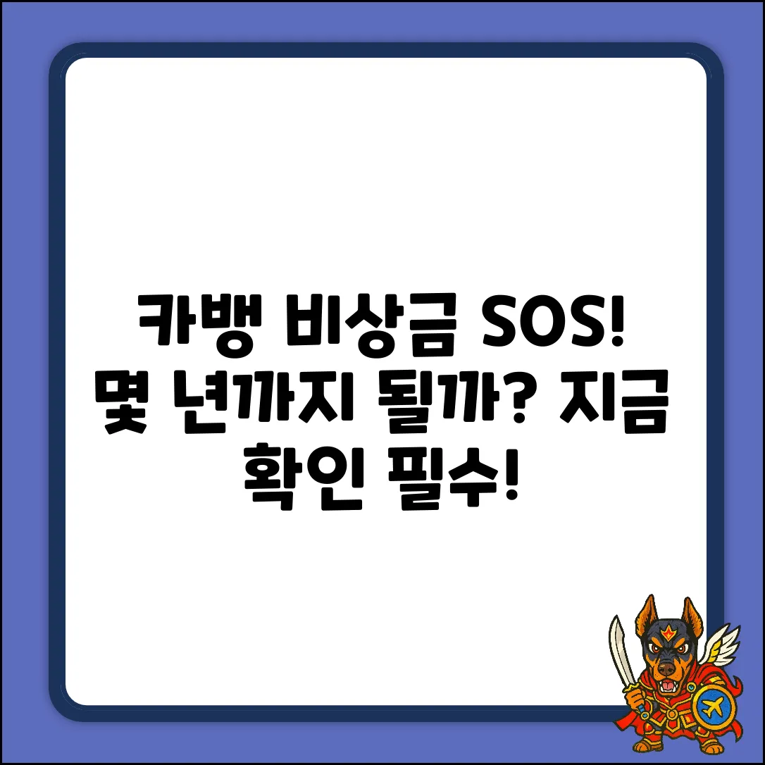 카카오뱅크 비상금대출, 몇 년까지 가능할까?