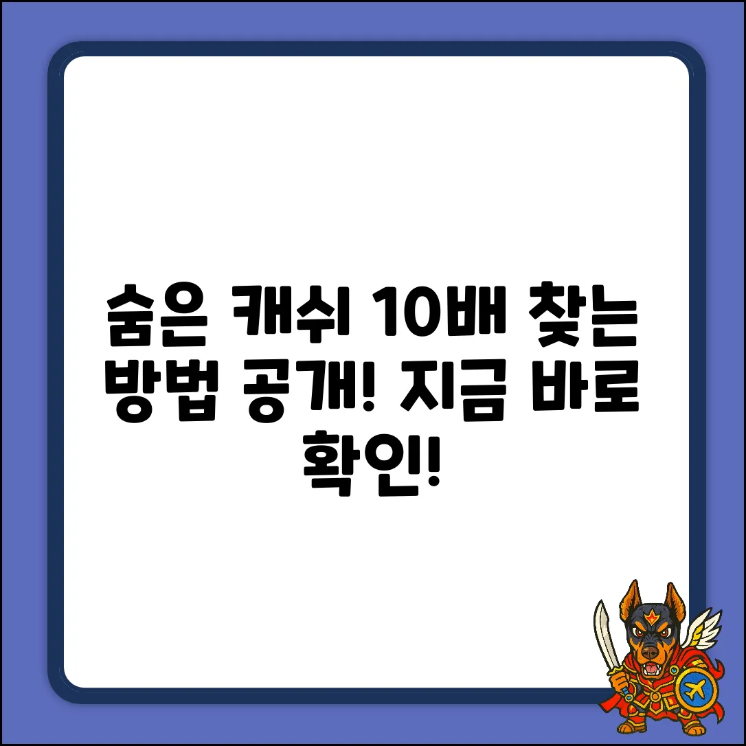 숨은 캐쉬 10배! 찾는 방법