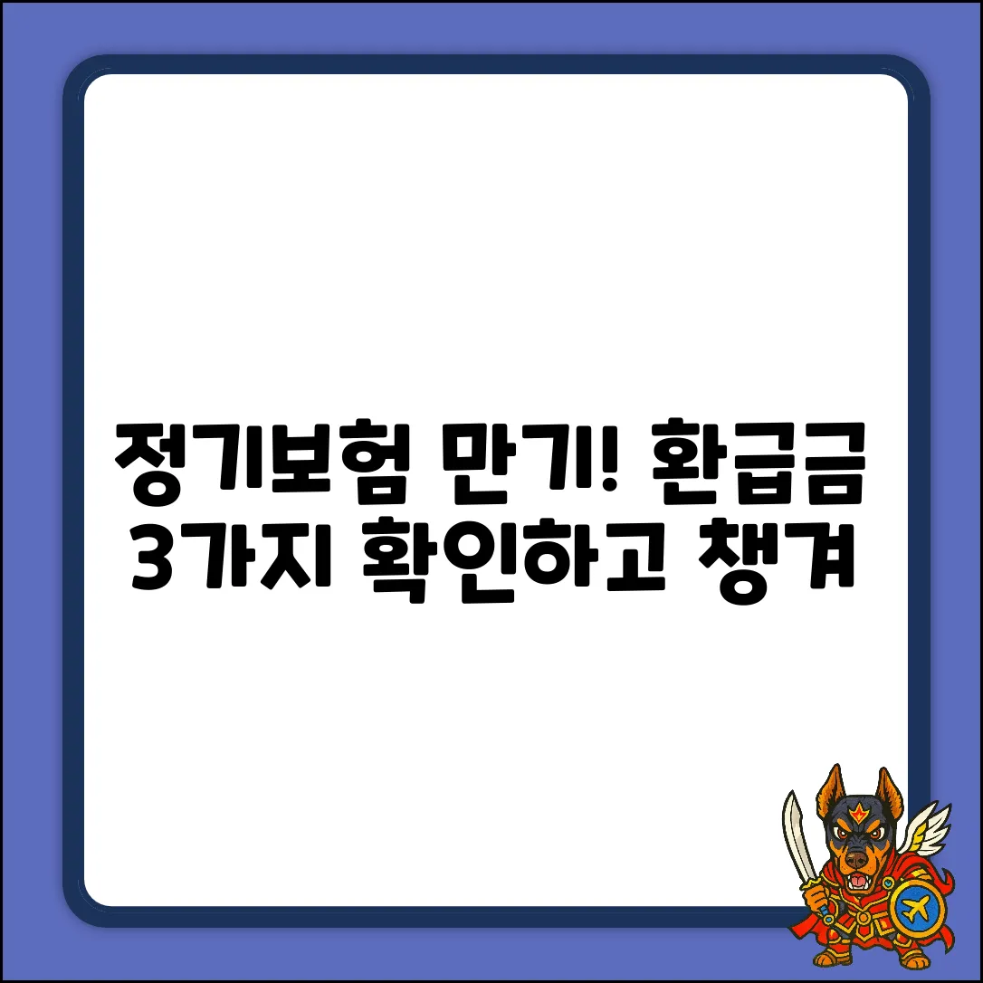 정기보험 만기환급금, 3가지 핵심 확인법