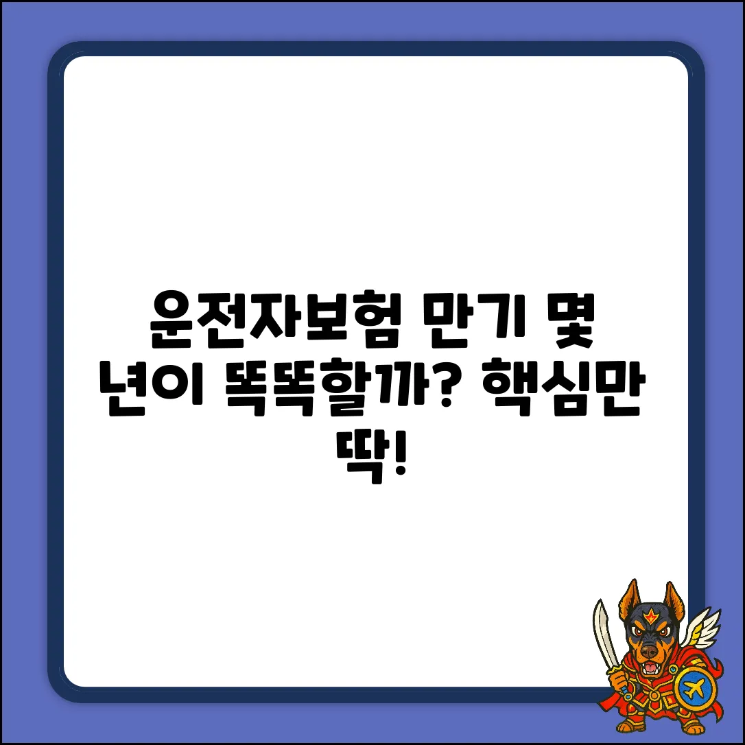 운전자보험, 몇 년 만기? 똑똑한 선택일까?