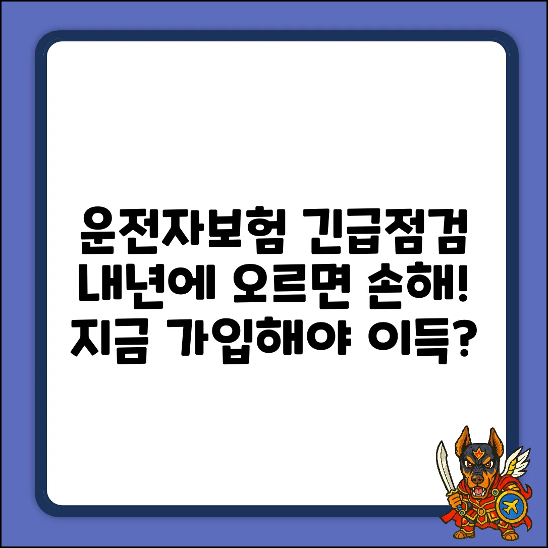 내년 운전자보험, 지금 준비해야 이득일까요?