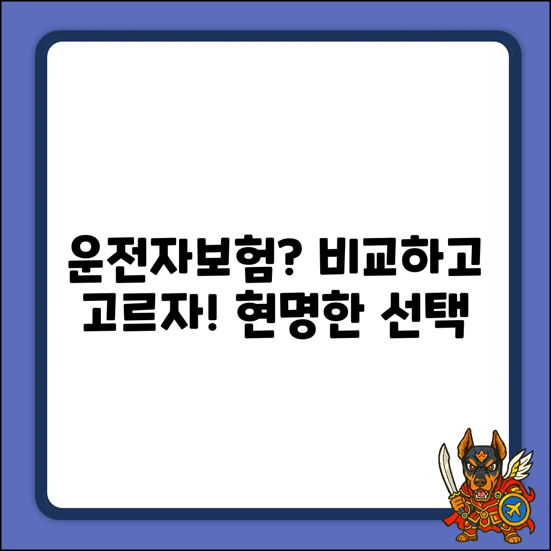 운전자보험비교사이트, 현명한 선택일까요?